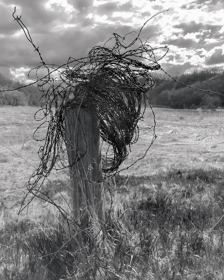 Barbed Wire Photograph by Mark Mille