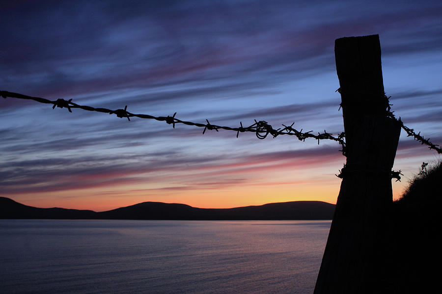 Barbed Wire Sunset Photograph by Aidan Moran