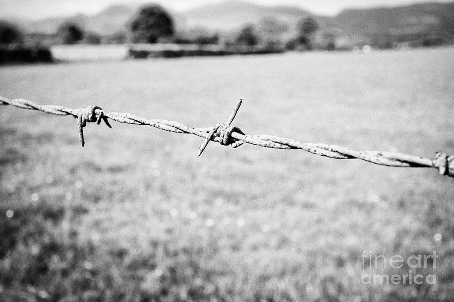 barbed wire uk