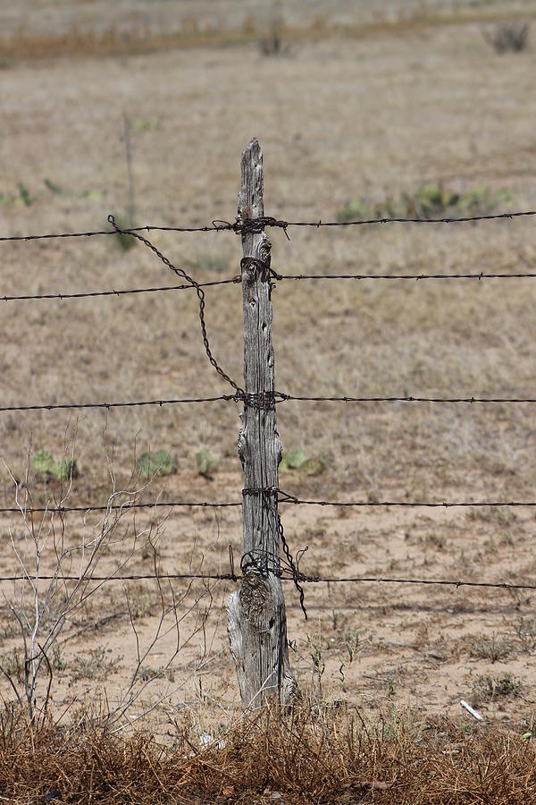 Roadside Photograph - Barbwire and Old Wood Fence Post by Colleen Cornelius