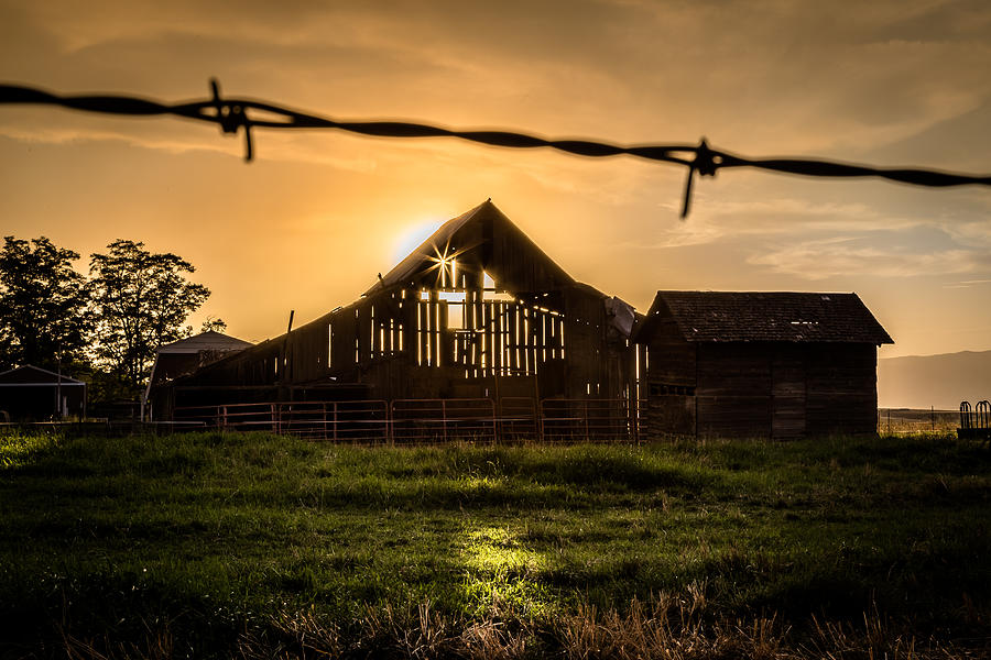 Barbwire Barn Photograph by Brad Stinson