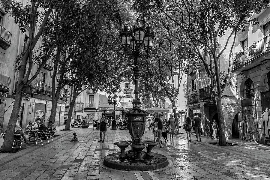 Barcelona Square with Trees Photograph by Georgia Clare