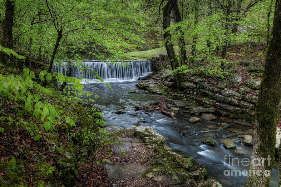 Bard Springs by Larry McMahon Bard Springs by Larry McMahon