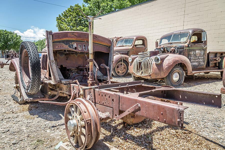 Bare Bones Photograph by Ken Kobe - Fine Art America