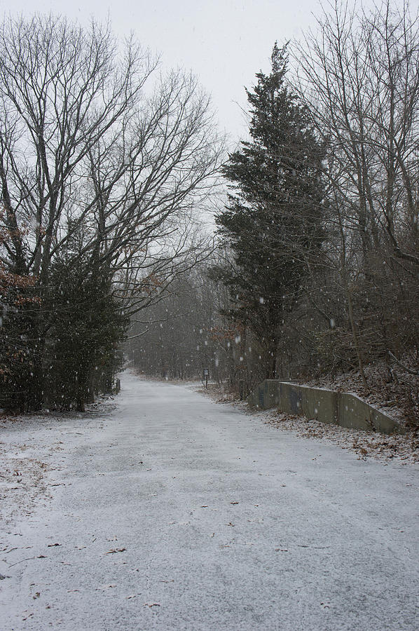 Bare Cove Park In A Snowstorm Photograph