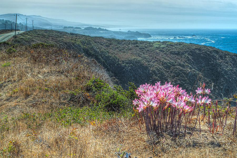 Bare Naked Ladies on the coast by Peter Dyke Bare Naked Ladies on the coast by Peter Dyke