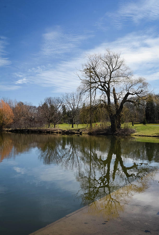 Bare Reflection Photograph by Jessica Grey - Fine Art America