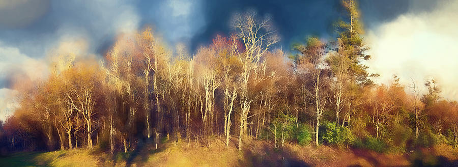Bare Tree Sunset Panorama Blue Ridge Parkway FX Digital Art by Dan Carmichael