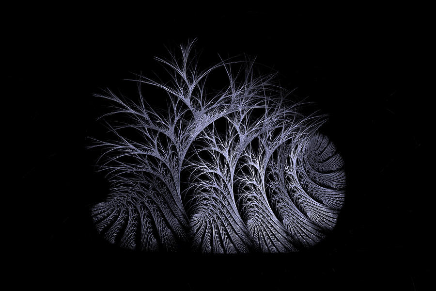Tree Digital Art - Bare Trees Moonlight by Doug Morgan