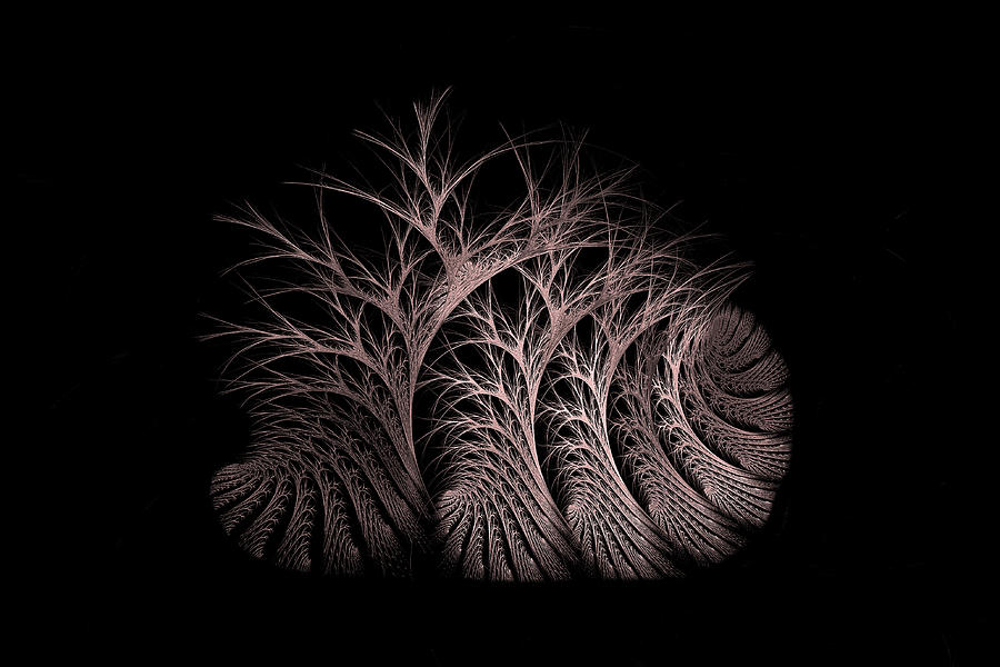 Bare Trees Rose Digital Art by Doug Morgan