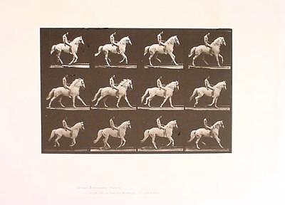 Horse Photograph - Bareback Rider  Clinton Canter by Eadweard Muybridge
