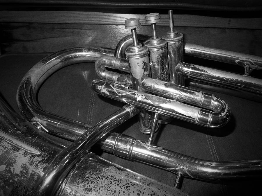 Baritone Horn Photograph by Scott Kingery