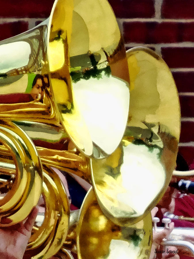 Baritone Horns Photograph by Susan Savad