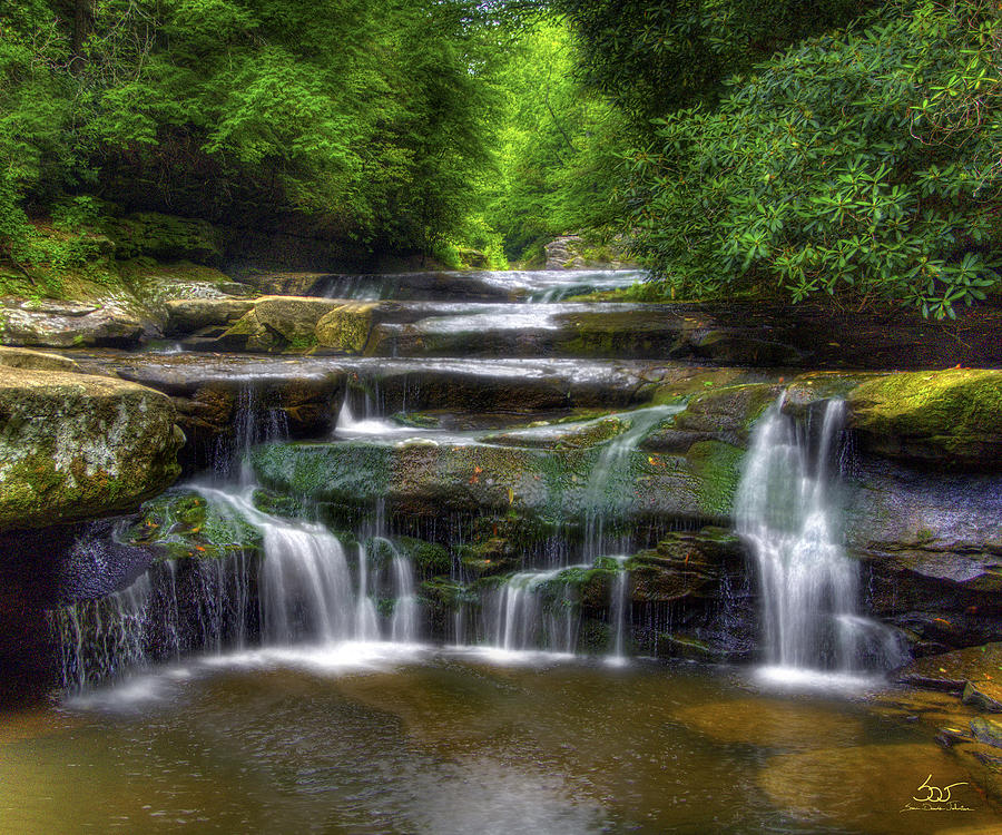 Bark Creek #1 by Sam Davis Johnson Bark Creek #1 by Sam Davis Johnson