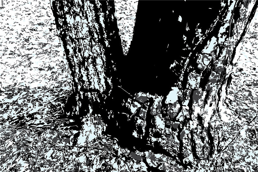 Nature Digital Art - Bark Joints by Poster Book Nature Digital Art - Bark Joints by Poster Book