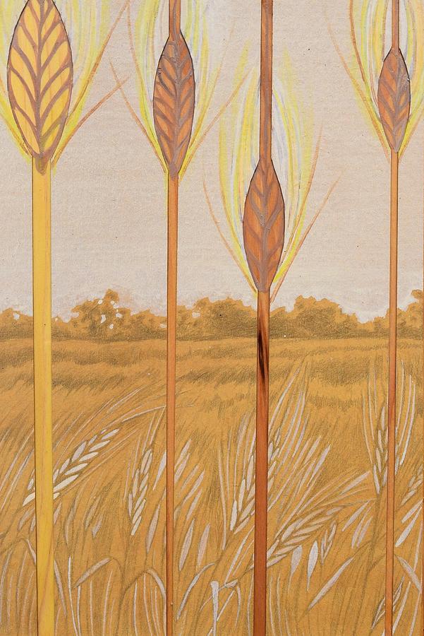 Nature Drawing - Barley Field Silverpoint by Karen Williams-Brusubardis