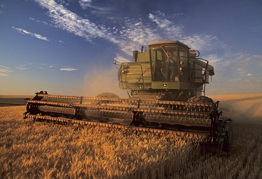 Barley Harvest II Photograph by Doug Davidson
