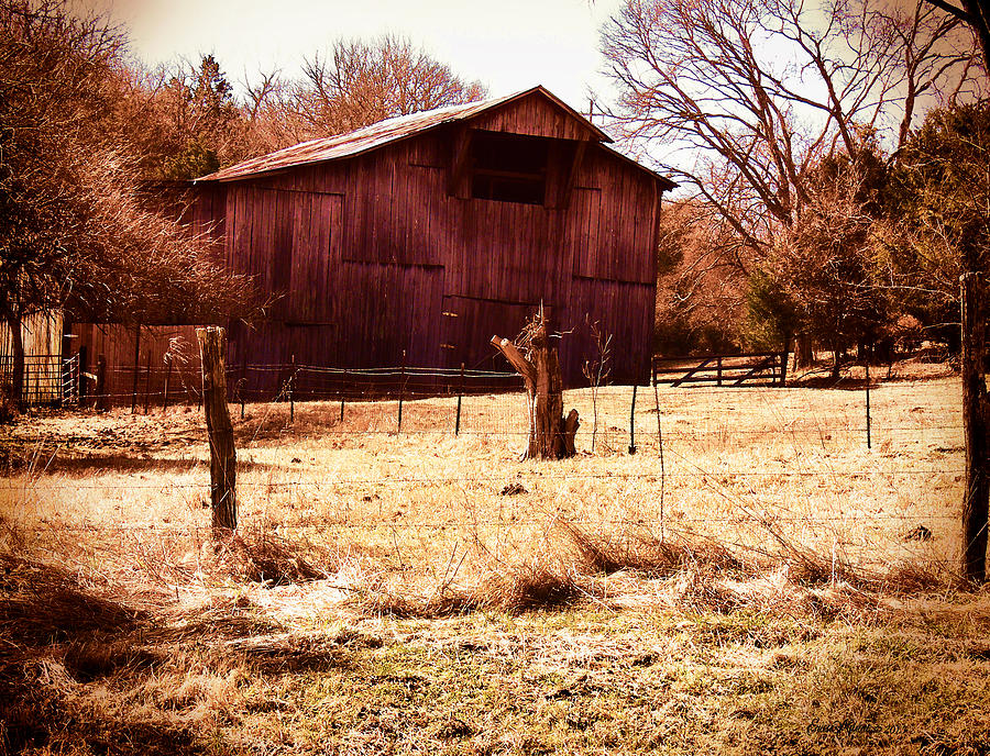 Tree Photograph - Barn 166 by Ericamaxine Price