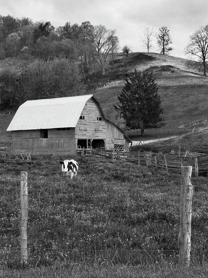 Barn 4 Photograph by Mike McGlothlen