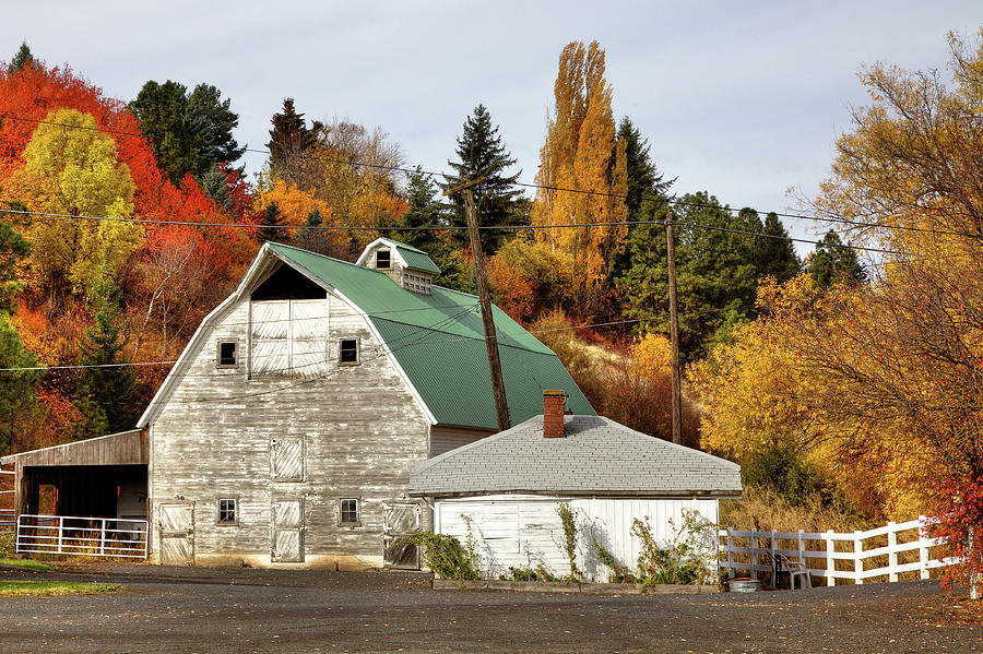 Barn Along the South Fork Photograph by David Patterson