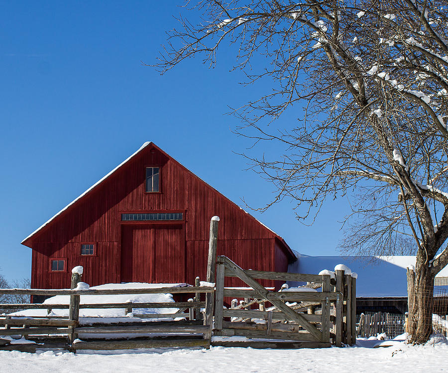 Barn and Blue Sky Photograph by Tim Kirchoff