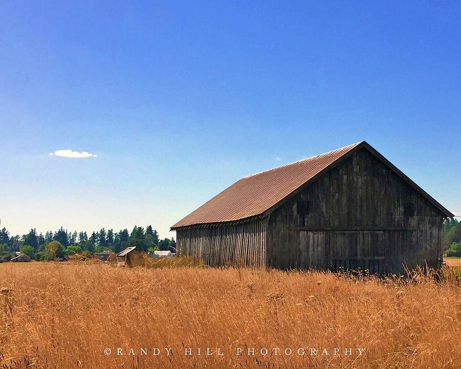 Vintage Photograph - Barn and Dry Grass by Randy Hill