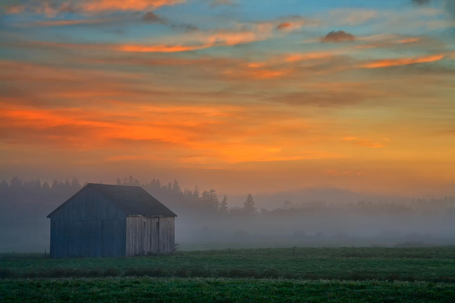 Barn and Mist at Dawn Photograph by Irwin Barrett