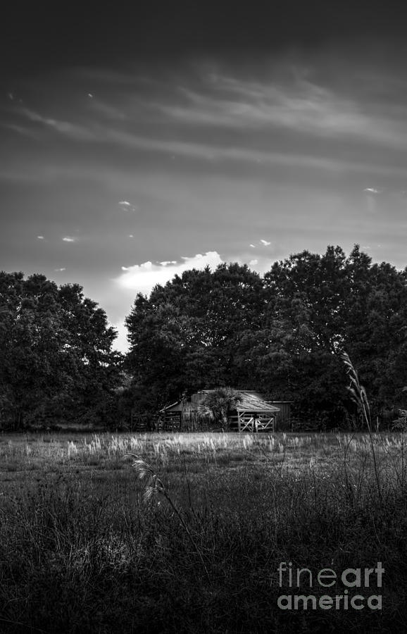 Barn Photograph - Barn And Palmetto-BW by Marvin Spates