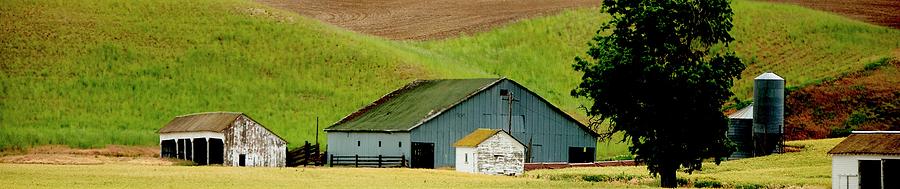 Barn And Shed P Photograph by Jerry Sodorff
