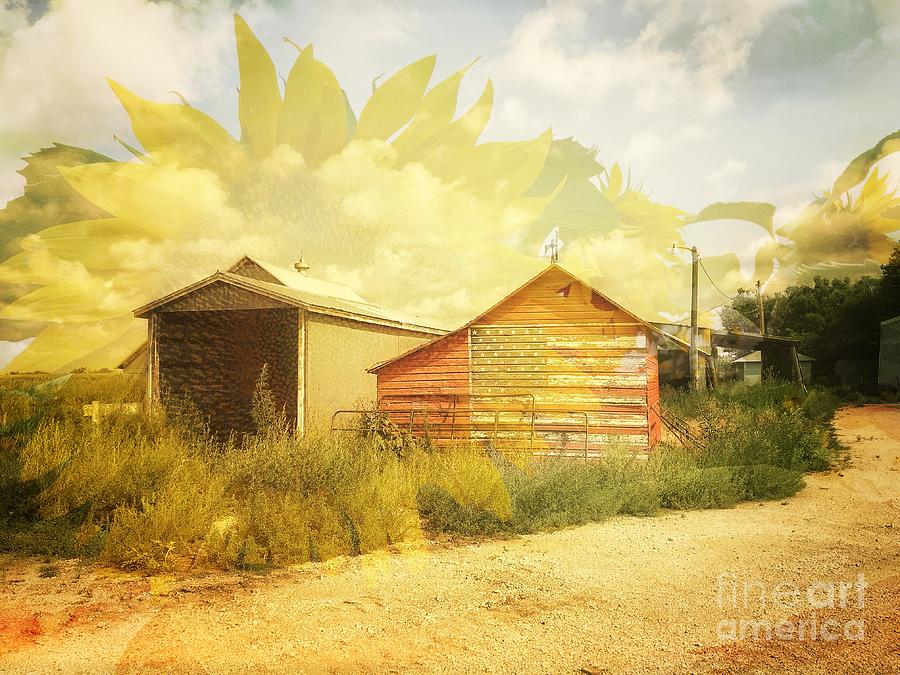 Sunflower Photograph - Barn and Sunflower Double Exposure by Iryna Liveoak