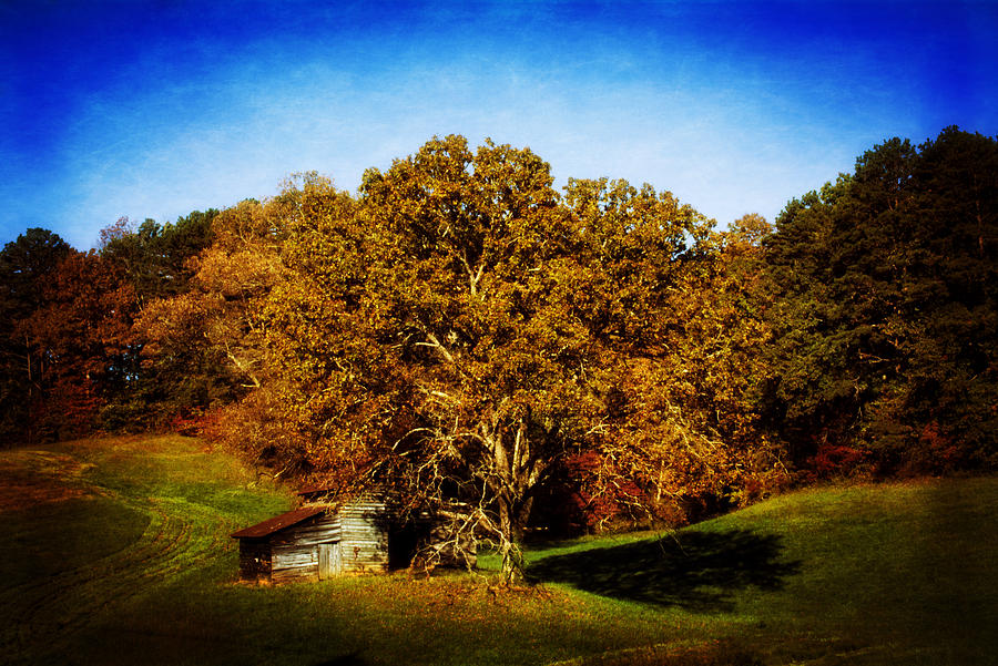 Barn And Tree Photograph by Greg and Chrystal Mimbs