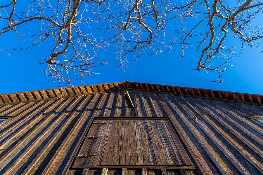 Barn and Trees Photograph by Derek Dean
