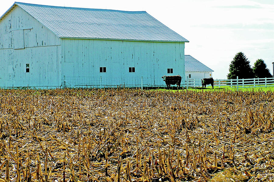 Barn at Farm near New Lisbon, Indiana Photograph by Ruth Hager