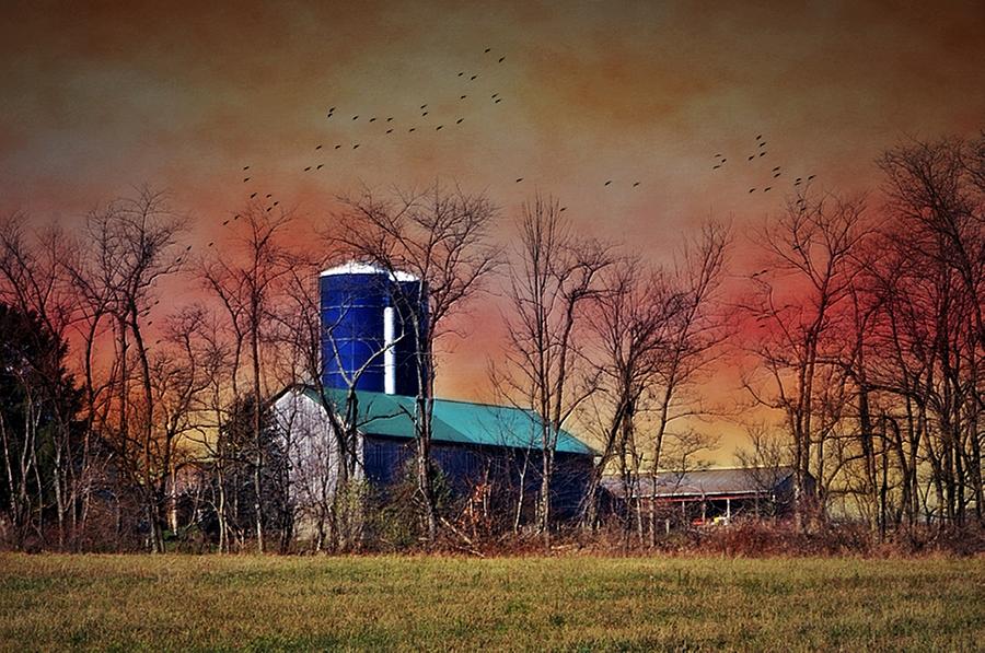 Tree Photograph - Barn At Sunrise by Stephanie Calhoun