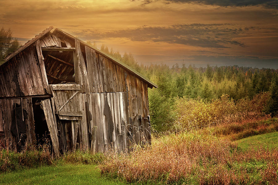 Barn at Sunset Print Photograph by Gwen Gibson