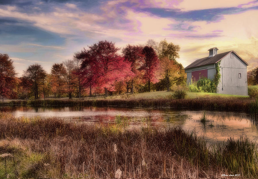 Barn Photograph - Barn By A Pond by Reese Lewis