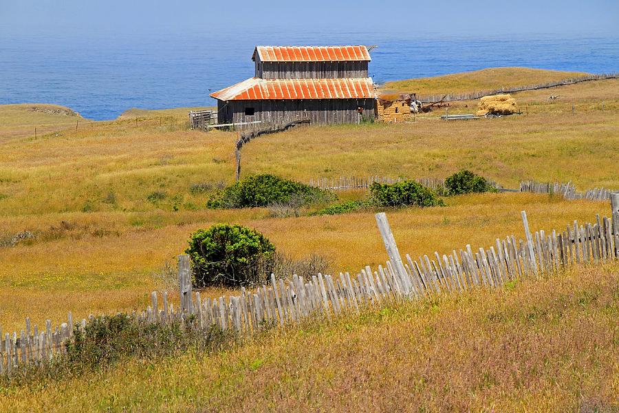 Barn By the Sea Photograph by Donna Kennedy
