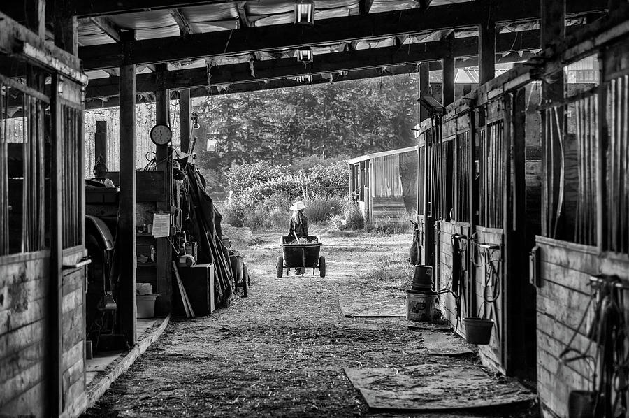 Barn Chores Photograph by Steven Clark