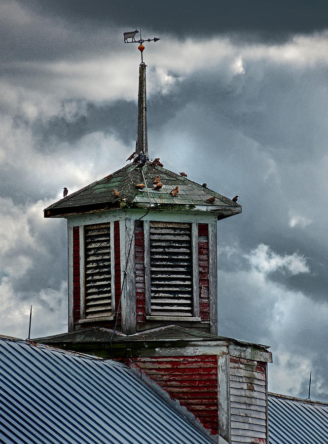 Barn Cupola with Birds in Vermont Photograph by Nancy Griswold