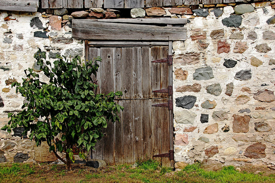 Barn Door Photograph by Debbie Oppermann - Fine Art America