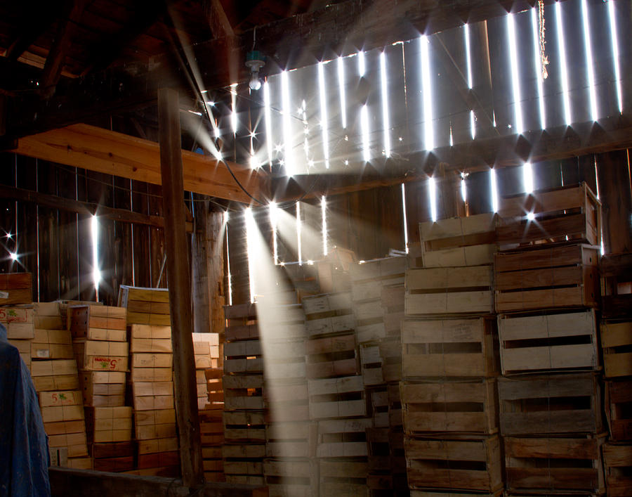 Barn Dust Photograph by Tim Fitzwater