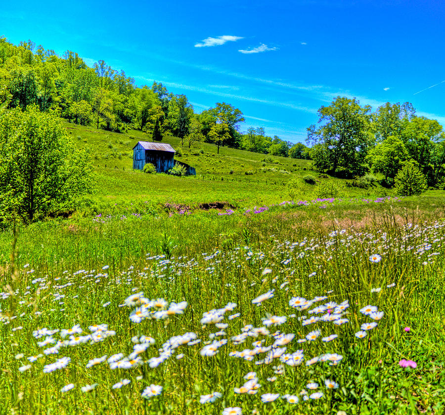 Barn in a Field Photograph by Jonny D