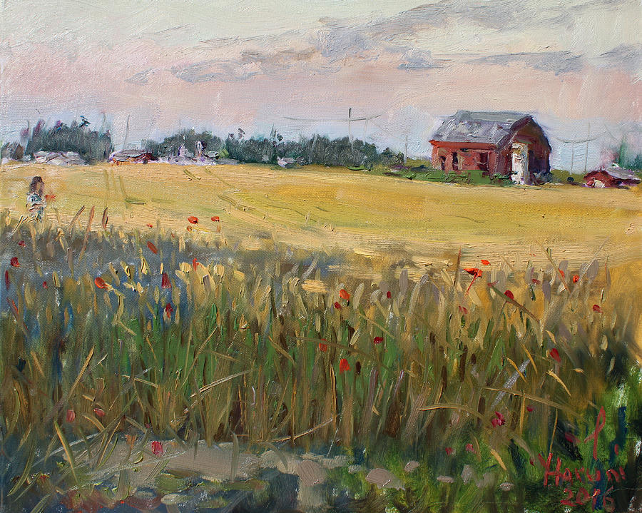 Georgetown University Painting - Barn in a Field of Grain by Ylli Haruni
