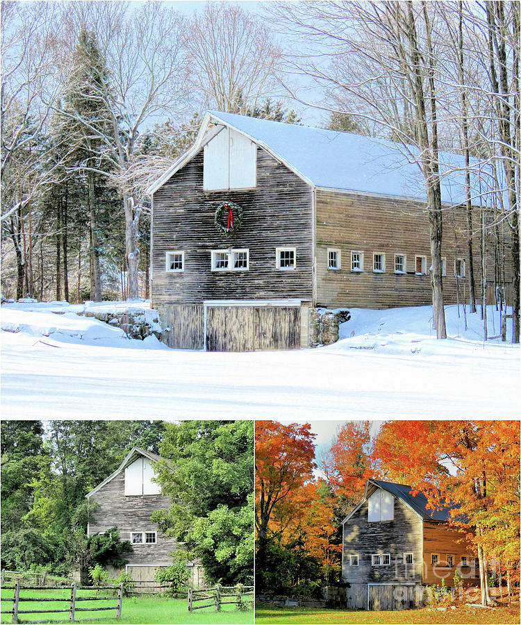 Barn in all Seasons  Photograph by Janice Drew