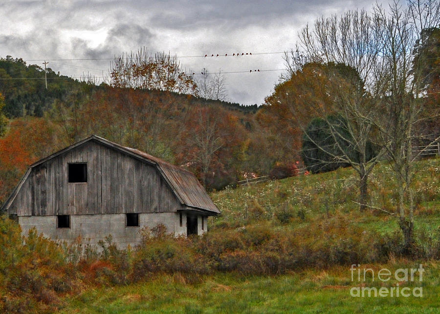 Mountain Photograph - Barn In Autumn by Lydia Holly