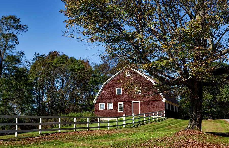 Tree Photograph - Barn in Autumn by Mountain Dreams