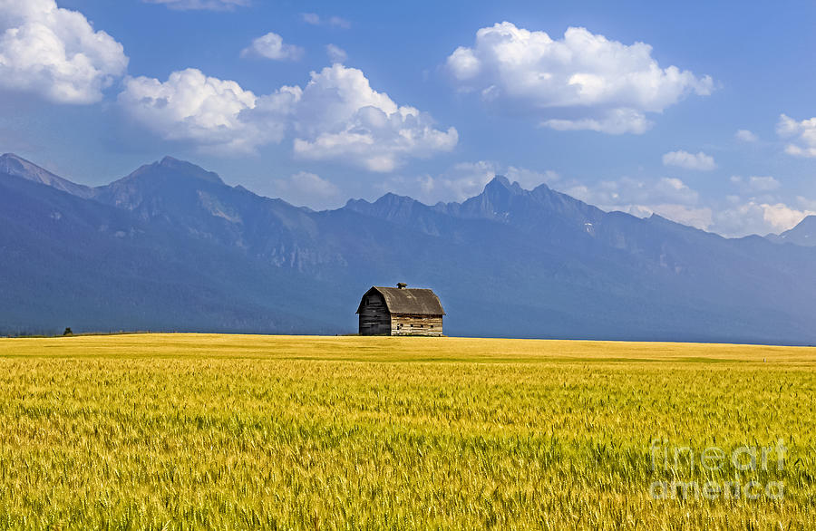 Barn in Big Sky Country Photograph by Amy Sorvillo
