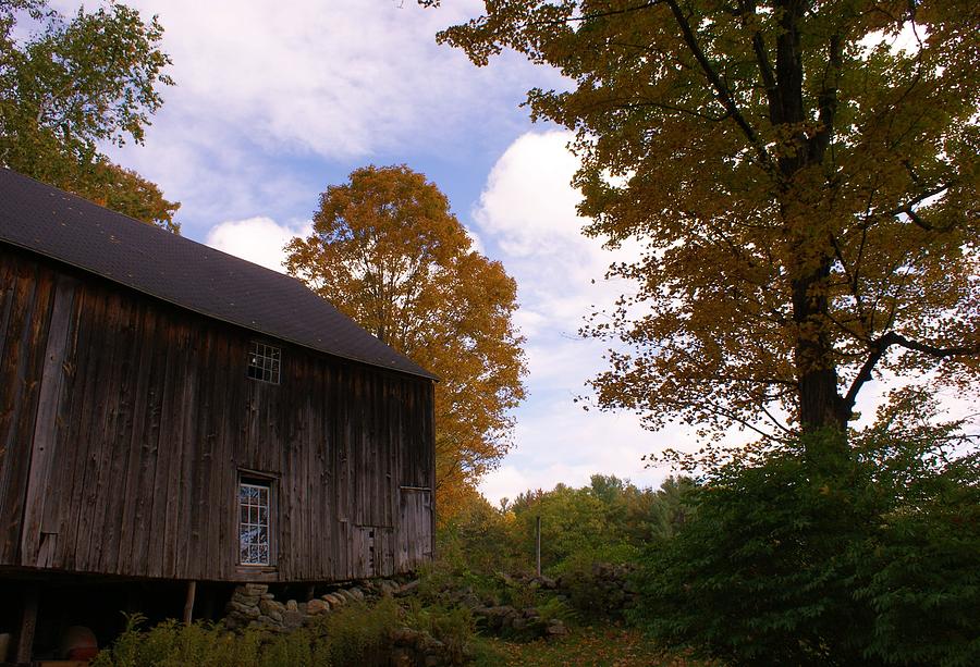 Barn in Fall Photograph by Lois Lepisto