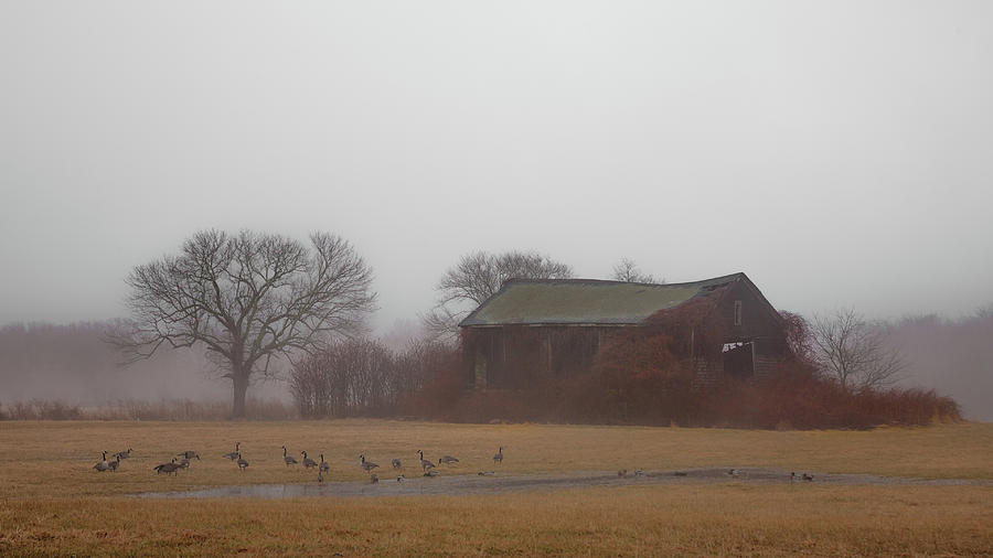 Barn in Fog - Color Photograph by Kirkodd Photography Of New England