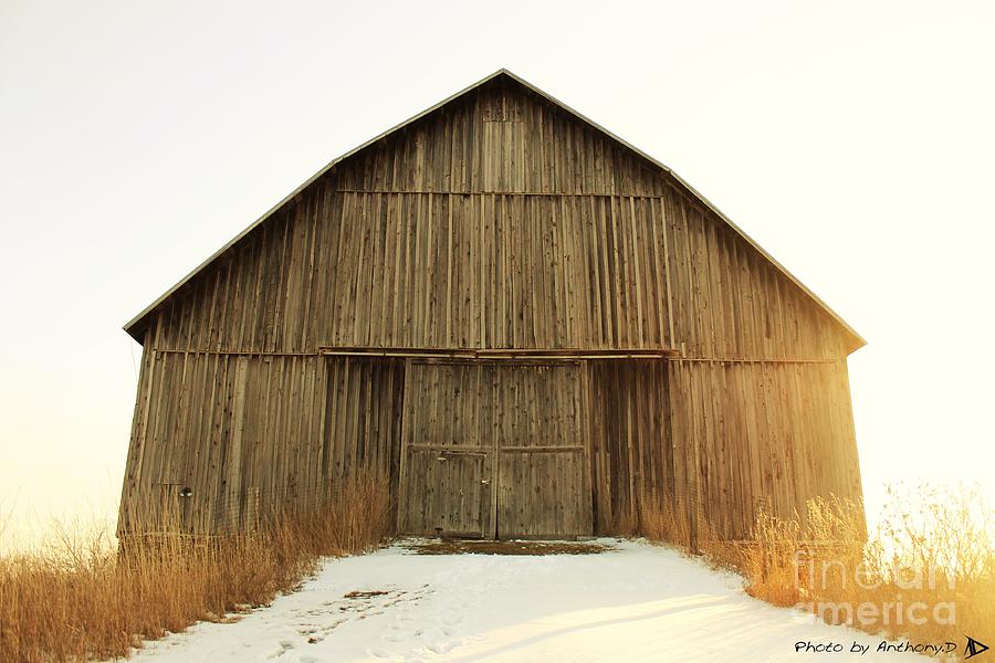 BARN in HEAVEN Photograph by Anthony Djordjevic - Pixels